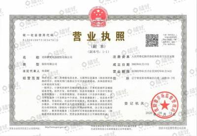 沈陽麟龍科技 深耕互聯網軟硬件，以創新驅動穩中求勝